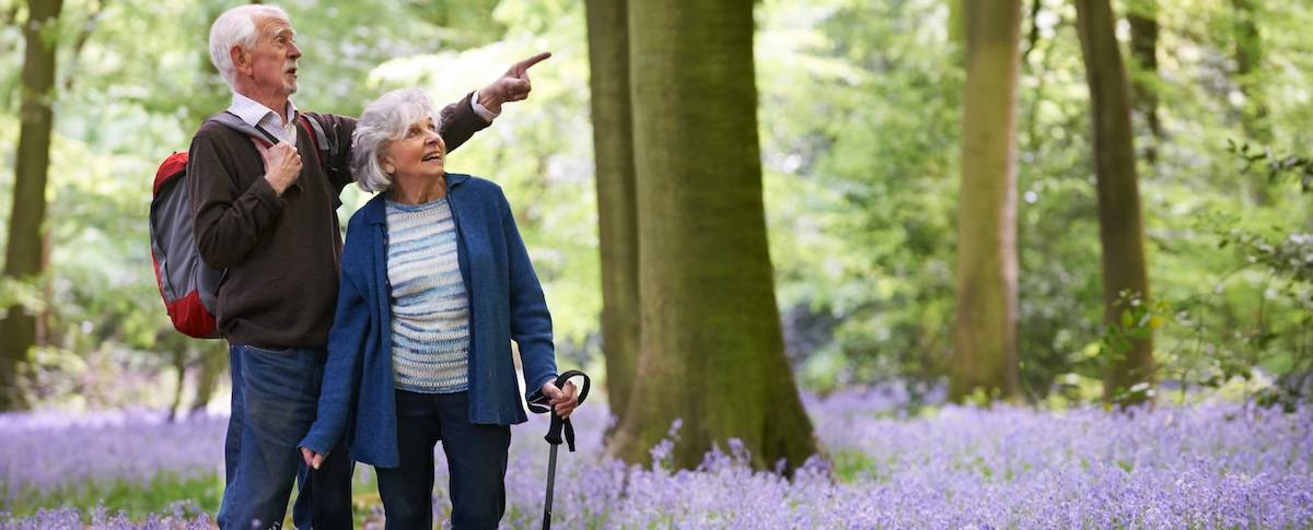 Senior Couple Walking Through Bluebell Wood